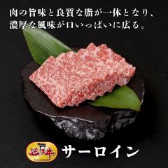 �ߍ]�� �ē� �T�[���C��100���@���Ɨp ���� �ߍ]�� ������Y�� ������ �M�t�g �v���[���g ������ ���Ε� ���j�� ���a���� �z�[���p�[�e�B