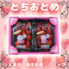 �Ƃ����Ƃ� �Q�p�b�N�Z�b�g �������� �Ȗ،��Y ���̂܂�I���W�i�����Z�b�g �①�� �y�A�O�����Ƃ�2P�z