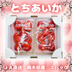 �C�`�S ������ �Ƃ������� 2�p�b�N �Ȗ،��Y SD SG �K�i 6�`7�� 1��40���O�� 1�p�b�N290���O�� �������� ���l�Ή� �①�� �yJA������2P�z