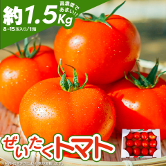 �V�N ���������g�}�g ��1.5kg 8~15�ʓ��� �t���[�c�g�}�g�n �z�����w��s�� �ƒ�p �������� �Ƃ܂� �����[�i