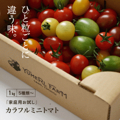 �i�`���� �~�j�g�}�g �ƒ�p1kg 1�L�� 5��ޑO�� �l�ߍ��킹 �֌��~�j�g�}�g �M�t�g YUMERI FARM