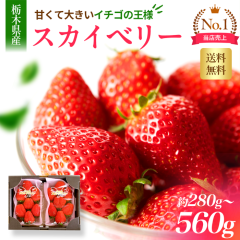 ������ �X�J�C�x���[ �Q�p�b�N�Z�b�g �p�b�N������7�`11�� �z�������w�胊�N�G�X�g�� �Ȗ،��Y ���l�Ή� �N�[���������� �①�� �X�J�C2P