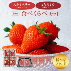 �i�`���� ������ �H�ה�� �X�J�C�x���[ �Ƃ����Ƃ� �i�`���� �X�J�C�x���[���Ƃ����Ƃߊe1�p�b�N 540�� �Ȗ،��Y ������ �v���[���g �M