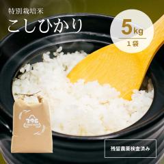 �y�i�`����z �ߘa7�N�Y �V�� ���ʍ͔|�� �R�V�q�J�� �����Ђ��� �_��͔|���Ԓ��s�g�p �c���_�򌟍����{�� �Ȗ،��Y �� ���� rice ���� 