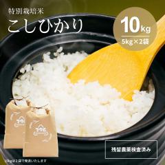 �y�i�`����z �ߘa7�N�Y �V�� ���ʍ͔|�� �R�V�q�J�� �����Ђ��� �c���_�򌟍����{�� �Ȗ،��Y �� ���� rice ���� 10�L�� 10kg �ቷ�q��