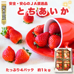 �i�`���쒼�� �Ƃ������� �������� 4�p�b�N ��270g�~4 �Ȗ،��Y �C�`�S ������ � �①��