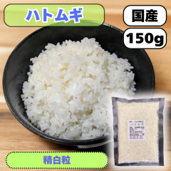 ngM 150g  YiYn͕ϓ܂j yngMz