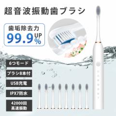 国内発送!電動歯ブラシ 音波歯ブラシ 替えブラシ付き 充電式 IPX7防水 静音 歯磨き 歯垢 歯石除去 歯周病 虫歯予防 口臭対策 携帯