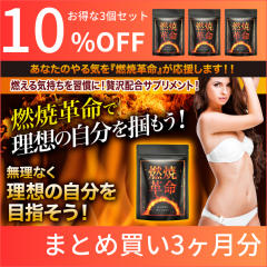 ダイエット サプリメント ブラックジンジャー 燃焼系 サプリ 燃焼革命 カプサイシン 3袋