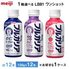 1�P�[�X����ׂ� �������� �����u���K���A�̂ރ��[�O���g �����V���b�g�V���[�Y �u���[�x���[ �X�g���x���[120g�~24�{ �������� ���[�O��
