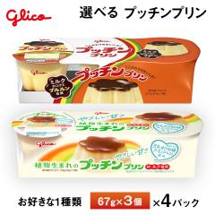 4�p�b�N���� �]��O���R �v�b�`���v�����V���[�Y  65g�~3�� �~4�p�b�N���� �������� �`���h�� �v�①�i �q�� ����� �����` �f�U�[�g