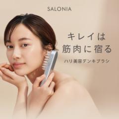 美顔器 電気ブラシ EMS SALONIA サロニア デンキブラシ リフトアップ リフトケア 頭皮 頭筋 ハリ美容デンキブラシ 