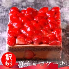 山崎製パン 日々カフェ 6種のフルーツケーキ 10個入｜ 送料無料 洋菓子
