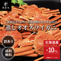 kCY 󂠂IIYCKj 10kg TCY i1t300g`j yz b N Nn Ε   I ɂ