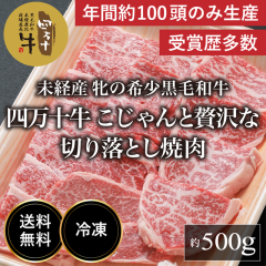 �l���\�� ���������ґ�Ȑ؂藎�Ƃ��ē�500g�y���������z���m  �l���\ ���Y �� ���X��  �q�꒼�� �� ���� �a�� ���јa�� ���J�� �ґ� 