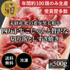 �l���\�� ���������ґ�Ȑ؂藎�Ƃ������Ă�500g�y���������z���m  �l���\ ���Y �� ���X��  �q�꒼�� �� ���� �a�� ���јa�� ���J�� ��