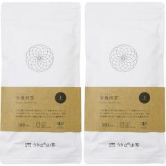 �L�@�͔| �����͂̎R�� �L�@�����100g�~2 �y���������z