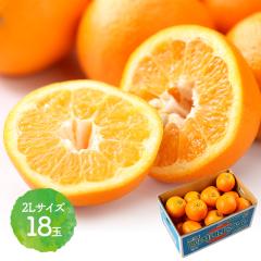 2026N2{`{͂ QY {ɗ\ 5kg JAЂߒ 2LTCY 悩 t[c  Q  ʕ 