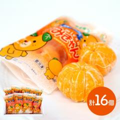 Ε 2025 ނ݂ Ⓚނ݂ 2~8 Ⓚނ݂ Ⓚ݂ Ⓚ~J ݂ ~J ʕ Ⓚ t[c 