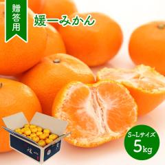 Ε 2025/11{`12{͂ p Q݂ 5kg ʕ ݂  ~J B݂ Â t[c Q j Mtg 