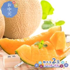 �y ������ �`2026/8/31���͂��z ����_�Y �k�C�� �x�ǖ� �P�� ������ ���G�i �ؔ� ����ʁi 3L �j 2�� SG001 2�� �P�������� �x�ǖ상��