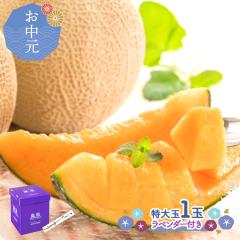 �y ������ �`2026/8/31���͂��z ����_�Y �k�C�� �x�ǖ� �P�� ������ �G�i ����ʁi 3L �j 1�� SG002 1�� �P�������� �x�ǖ상���� �߂�