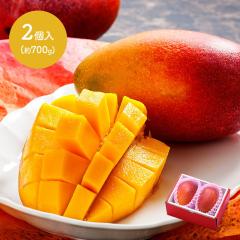 ������ 2026�N5�����{�`7�����{���͂� �}���S�[ ( 700g ) �t���[�c �� �}���S�[ ������ �����i ���j�� ���� ���Y �{�茧�Y �t���[�c 