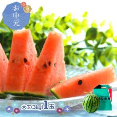 �y ������ 2026/7/5�`8/10���͂��z ����_�Y �k�C�� �x�ǖ� �P�� �X�C�J �G�i ��ʁi�R�����j �P�� SG006 1�� �P���X�C�J ���Z �t���[�c 