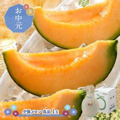 ������ 2026/6/25�`8/10���͂� �t���[�c �[�������� �Ǖi 1��  SN0000-010001 ������ �߂�� �[�� �����i �������� �ʕ� �� �{ ���� �u