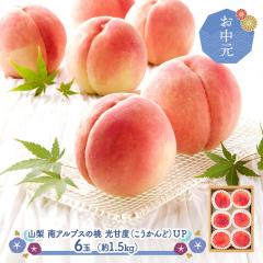 ������ 2026/7/10�`7/31���͂� �t���[�c �R�� ��A���v�X�̓� ���Óx(���������)�t�o 6�� (��1.5kg) SN6003-010009 ���� �� �������� 
