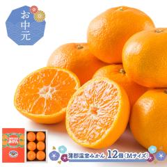 ������ 2026/6/25�`8/10���͂� �t���[�c ���S�����݂��� 1.2kg  ( M�T�C�Y 12�� ) SN6003-010010 �v���[���g ���� �~�J�� �� �������� 