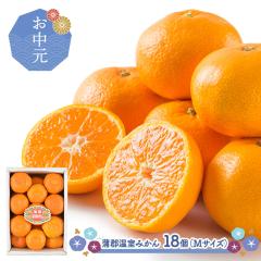������ 2026/6/25�`8/10���͂� �t���[�c ���S�����݂��� 1.8kg  (M�T�C�Y 18�� ) SN6003-010021 �v���[���g ���� �~�J�� �� �������� 