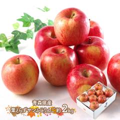 Ε 2025/12/11`26͂ t[c XY tƂ炸 Tӂ  2kg  ʕ Tӂ TtW S  X 