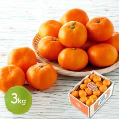 Ε 2025/12/1`12/15͂ t[c mJASs S݂ 3kg   ʕ ݂ ~J k j  Mtg v