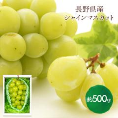 Ε 2025/12/1`12/20͂ t[c 쌧Y VC}XJbg i  500g  ʕ }XJbg Ԃǂ  Mtg v