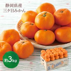 Ε 2025/12/1`12/15͂ t[c ÉY OP ݂ 3kg  ʕ ~J  k É j   