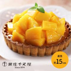 Ε NX}X 2025 َq D ^g(}S[) a15cm D XC[c mَq P[L ^gP[L fU[g t