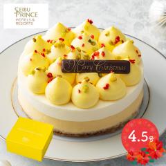 Ԍ2025/12/23`25͂ NX}X 2025 vXze p[tFNg `[Y P[L 4.5 P[L mَq XC[c NX}XP