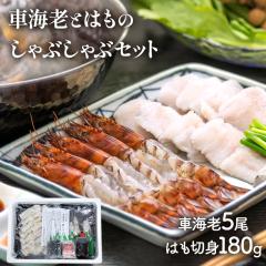 ��̓� 2026 �啪 �L�� �J�� �啪�Y �ԊC�V �� �͂� �� ����Ԃ���� �Z�b�g SK2714 ����Ԃ���� �C�V ���� �G�r �n�� �C�N �� ��Z�b�g