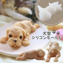 �V���R�����[���h �� �u���h�b�O ���� �A���}�X�g�[�� �΍p �A���}�L�����h�� ���[���h �p���t�B�����b�N�X �\�C���b�N�X �G�|�L�V���� 