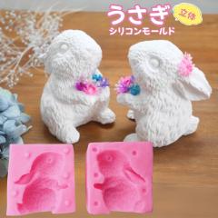 �V���R�����[���h ������ ���� ���� �A���}�X�g�[�� �΍p �A���}�L�����h�� ���[���h �p���t�B�����b�N�X �\�C���b�N�X �G�|�L�V���� ��