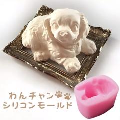 �V���R�����[���h �� �q�� ���� �A���}�X�g�[�� �΍p �A���}�L�����h�� ���[���h �p���t�B�����b�N�X �\�C���b�N�X �G�|�L�V���� ���W�� 