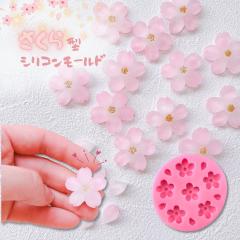 �V���R�����[���h ���W�� �� �� �Ԃт� �t �A���}�X�g�[�� �A���}�L�����h�� �L�����h�� �S�y�^ ���W���^ �G�|�L�V���� �n���h���C�h �N