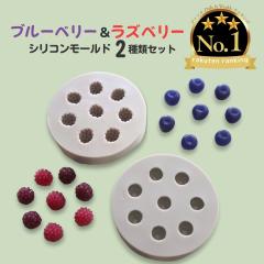 �V���R�����[���h �u���[�x���[ �؃C�`�S �t���[�c �f�U�[�g �A���}�X�g�[�� �A���}�L�����h�� �L�����h�� �S�y�^ ���W���^ �G�|�L�V����