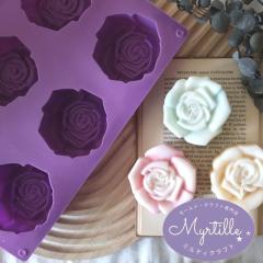 �V���R�����[���h �� �K�N 6��� �A���}�X�g�[�� �A���}�L�����h�� �L�����h�� �\�C���b�N�X �Ό� ���W���^ �G�|�L�V���� �΍p �n���h