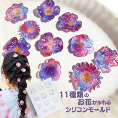 �V���R�����[���h ���W�� �� �t�����[ �A�� �A���}�X�g�[�� �A���}�L�����h�� �L�����h�� ���� �\�C���b�N�X �Ό� ���W���^ �G�|�L�V����