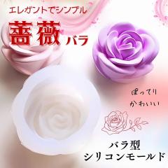 �V���R�����[���h �� �K�N �A���}�X�g�[�� �A���}�L�����h�� �L�����h�� �\�C���b�N�X �Ό� ���W���^ �G�|�L�V���� �΍p �n���h���C�h �N