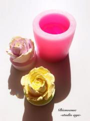 �V���R�����[���h ���W�� �� �o�� �A���}�X�g�[�� �A���}�L�����h�� �L�����h�� ���W���^ �G�|�L�V���� �n���h���C�h �N���t�g�p �^�g