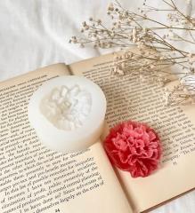 �V���R�����[���h �� ��̓� �A���}�X�g�[�� �A���}�L�����h�� �L�����h�� ���W���^ �G�|�L�V���� �΍p �n���h���C�h �N���t�g�p �^�g