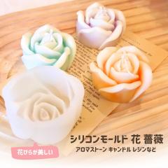 �V���R�����[���h �� �K�N ��̓� �A���}�X�g�[�� �A���}�L�����h�� �L�����h�� �Ό� ���W���^ �G�|�L�V���� �΍p �n���h���C�h �N���t�g